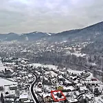 Molonowka