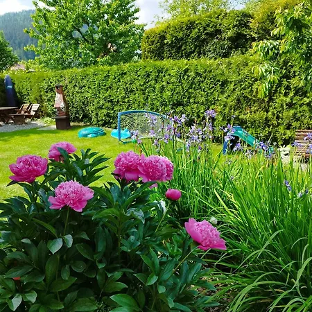 Molonowka Guest house *
