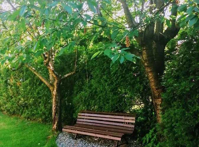 Molonowka شتوروك