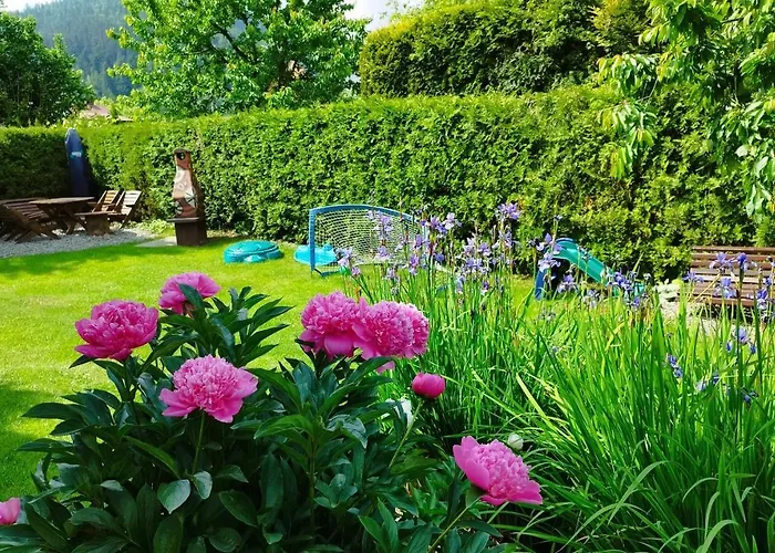 Molonowka 3* شتوروك