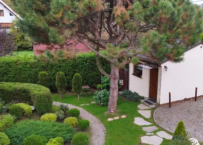 Molonowka 3* شتوروك